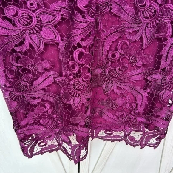💋LAUREN RALPH LAUREN NEW Women's fuchsia Purple Lace Sleeveless Sheath Dress 12 - Picture 9 of 10